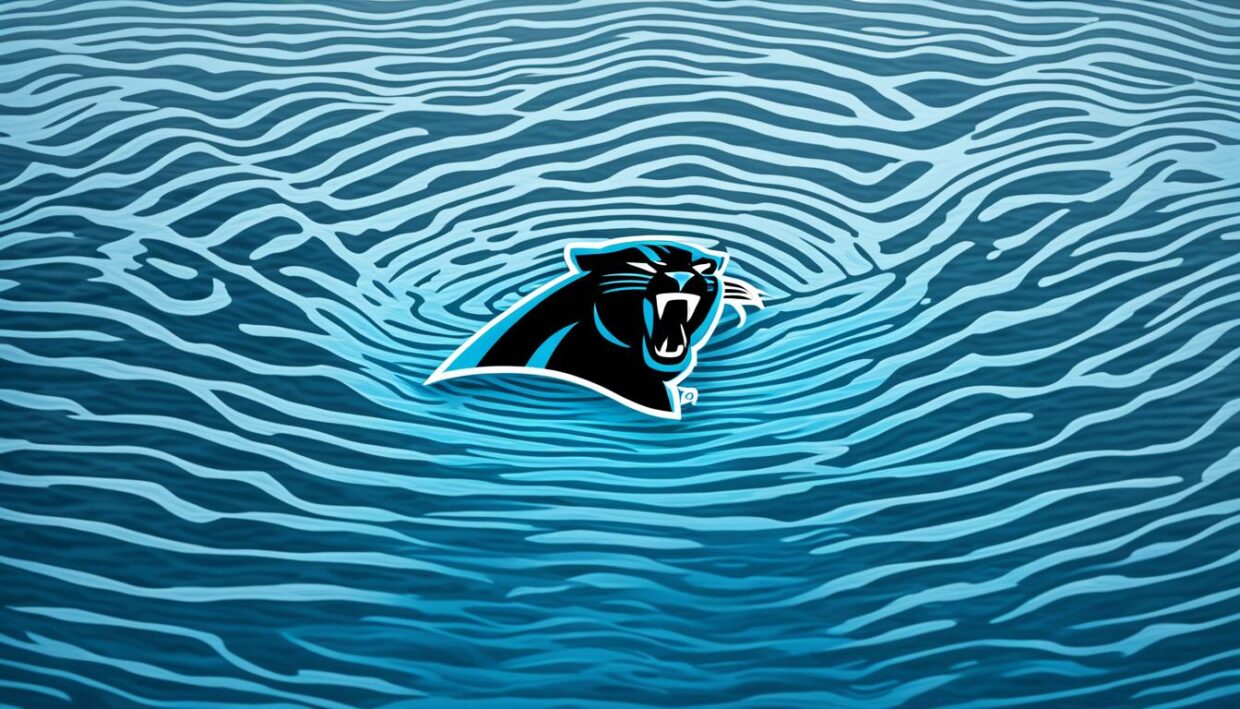 carolina panthers reflections